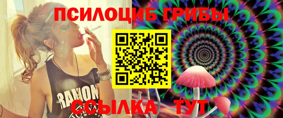 Псилоцибиновые грибы Cubensis Кохма