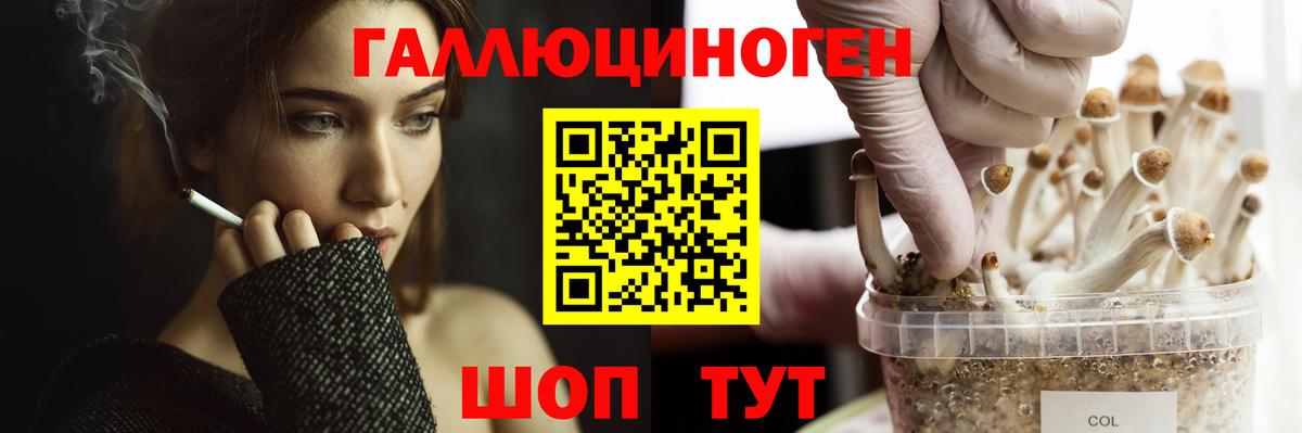 Кохма  Псилоцибиновые грибы MAGIC MUSHROOMS  Галлюциногенные грибы GOLDEN TEACHER  Вход с VPN 
